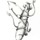 Illustration for article titled Cephalopods of Mass Destruction Stalk the Seas